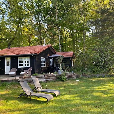 De Springop Villa Eefde Kültér fotó